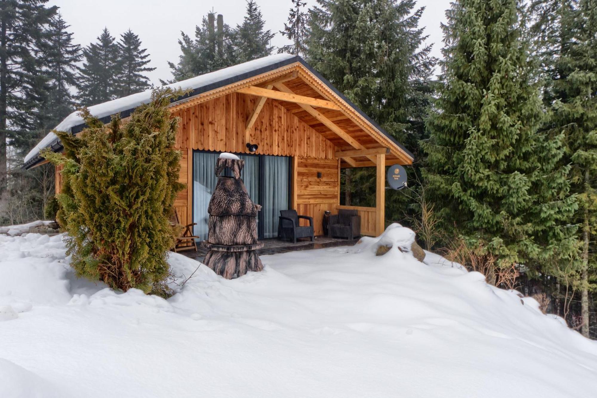 Domek Lesny Zakopane Luaran gambar